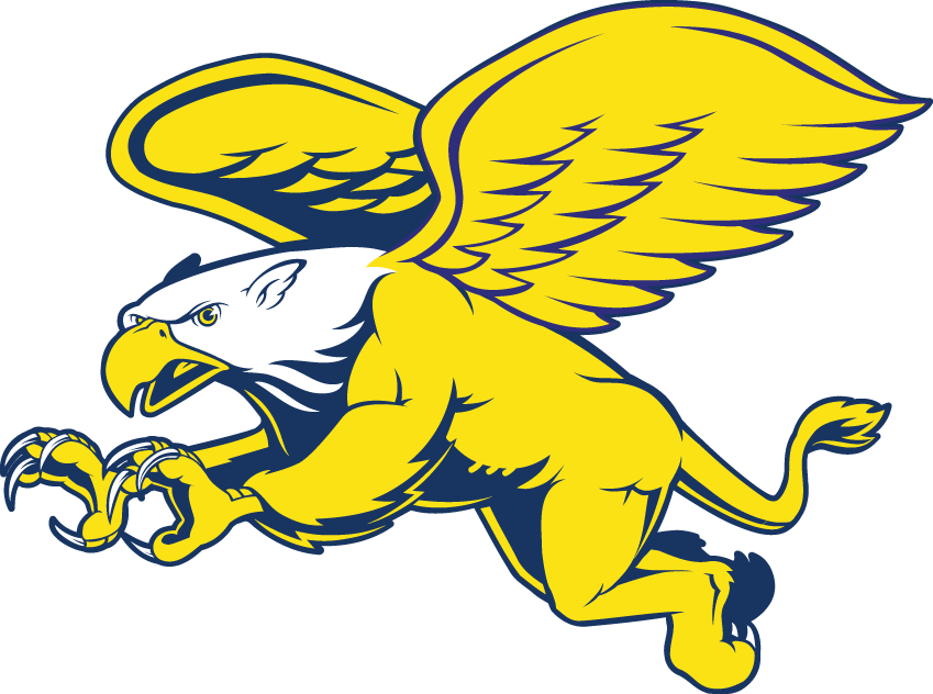 Canisius Golden Griffins 1999-2005 Secondary Logo DIY iron on transfer (heat transfer)